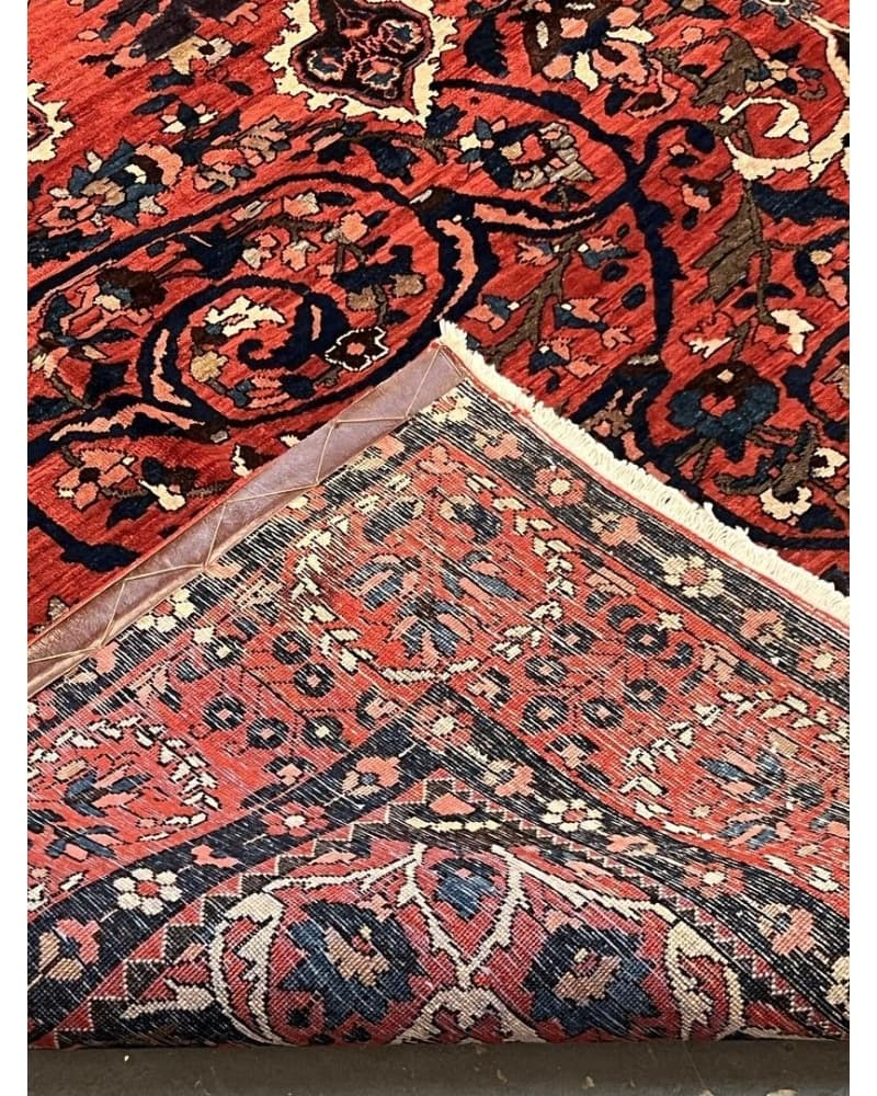 Bakhtiari Wool view 4