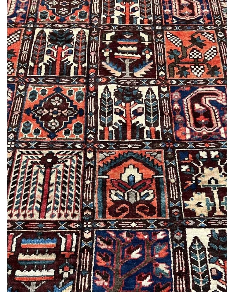 Bakhtiari Wool view 3