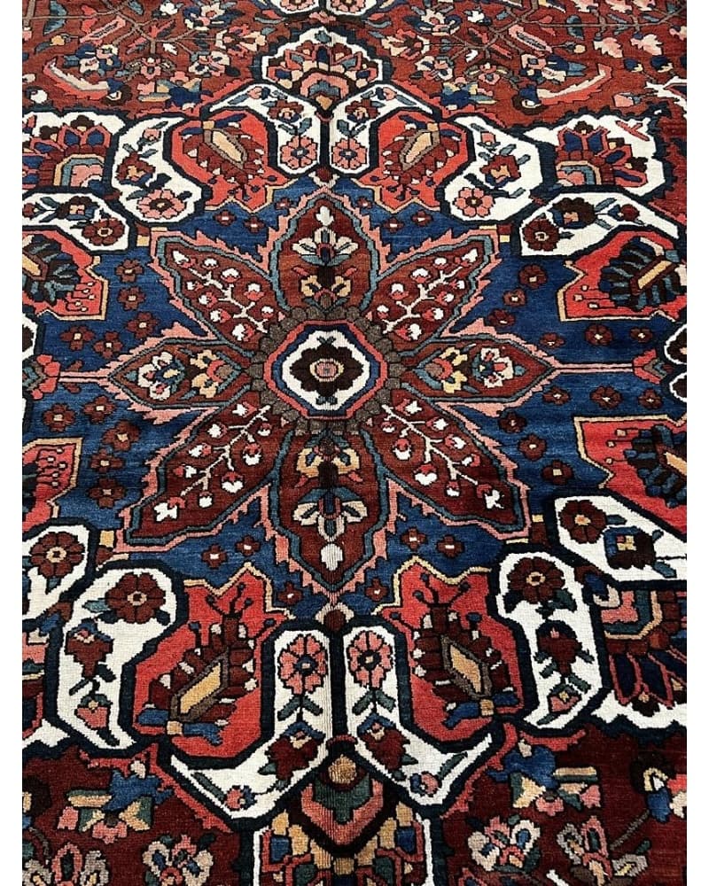 Bakhtiari Wool view 3