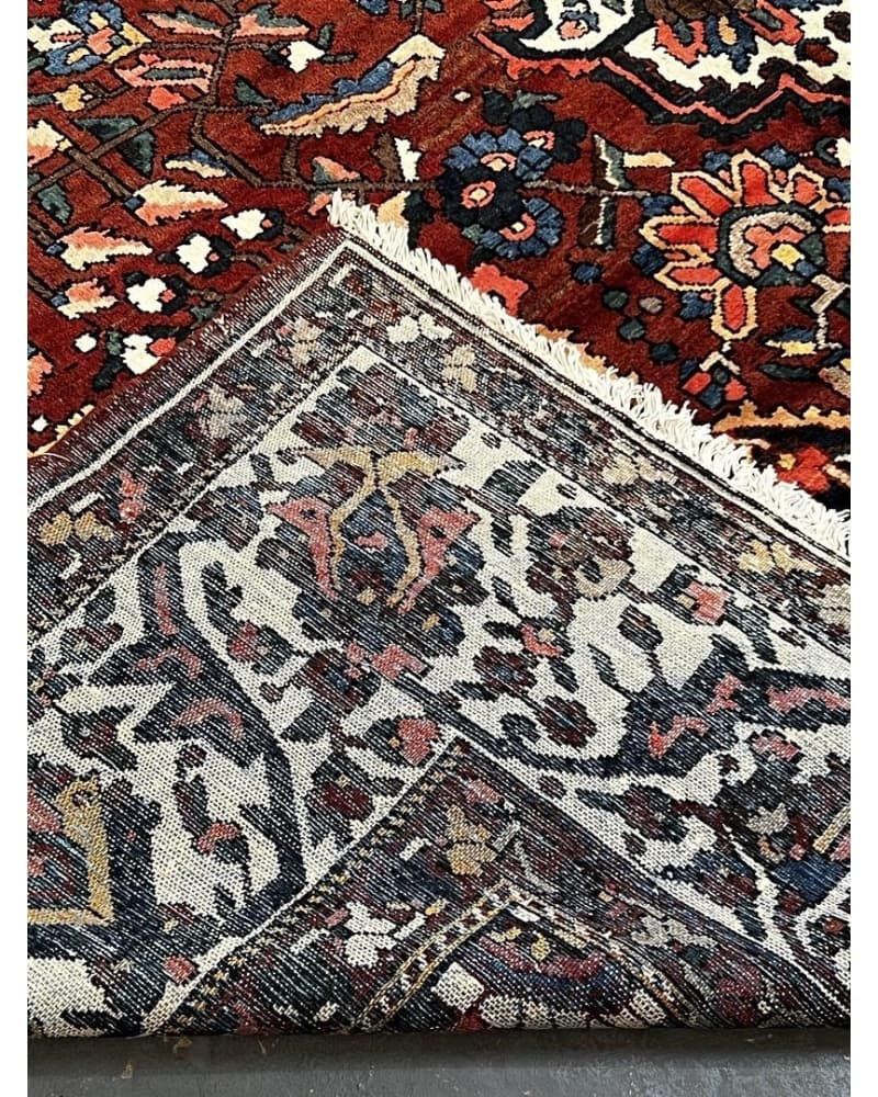 Bakhtiari Wool view 4