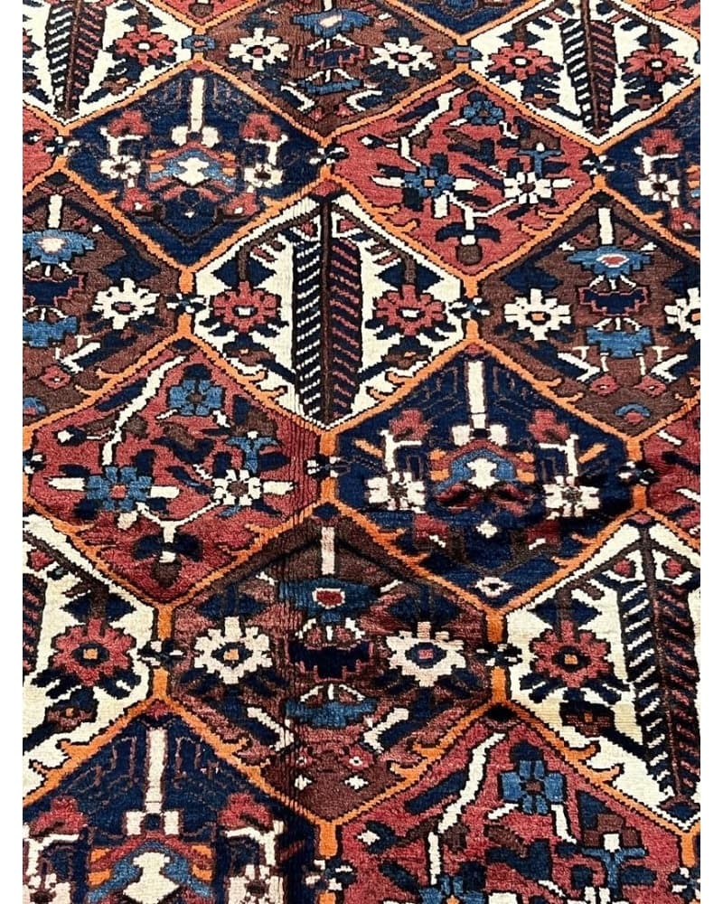 Bakhtiari Wool view 3