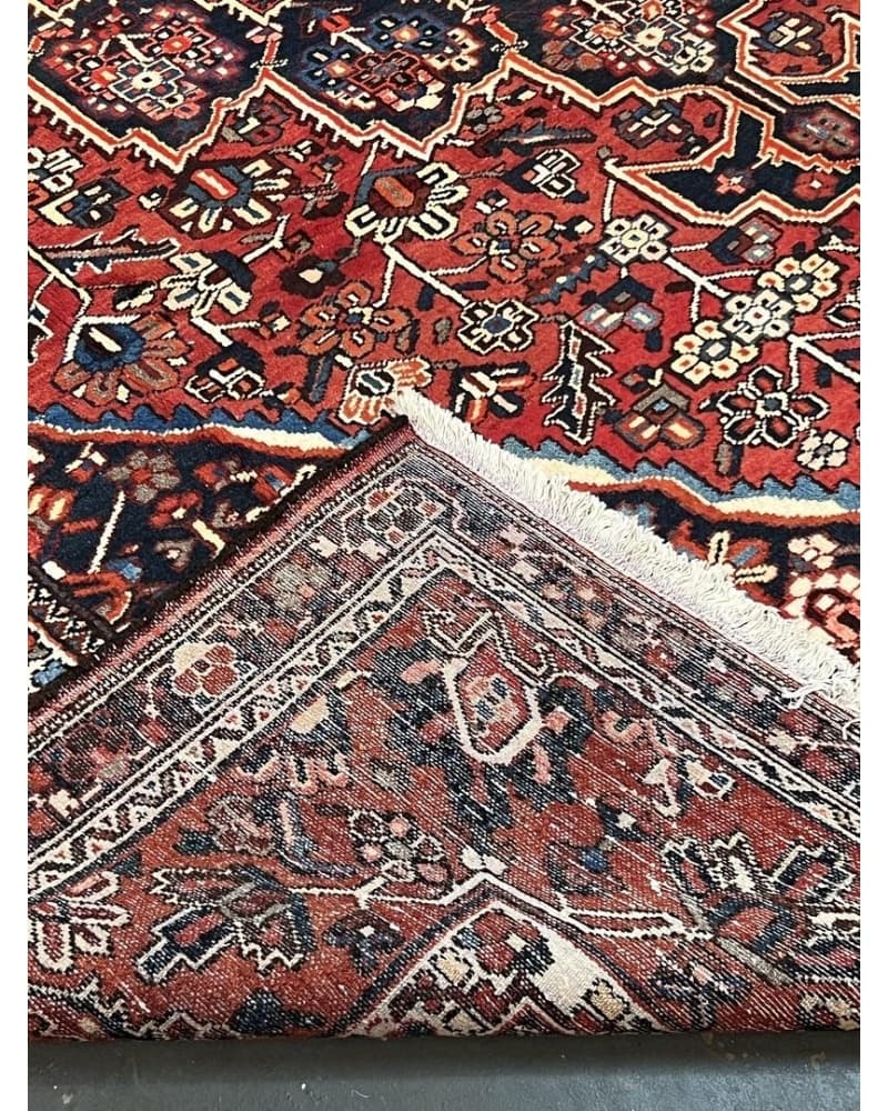 Bakhtiari Wool view 4