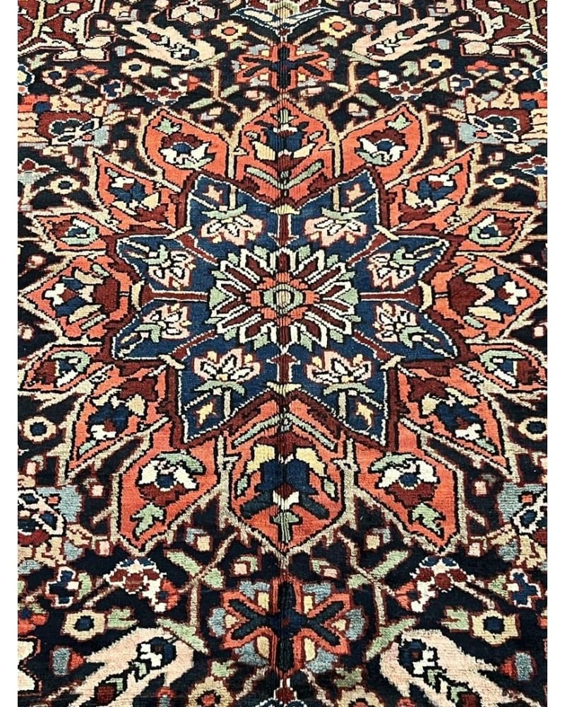 Bakhtiari Wool view 3
